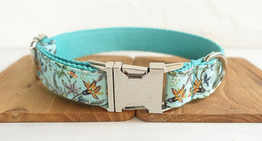 Pet dog collar with high quality soft comfort