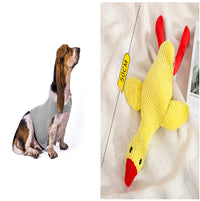 Anxiety Jacket Vest Summer Medical Treatment To Calm Down Cat Clothes Dog Comfort Clothes